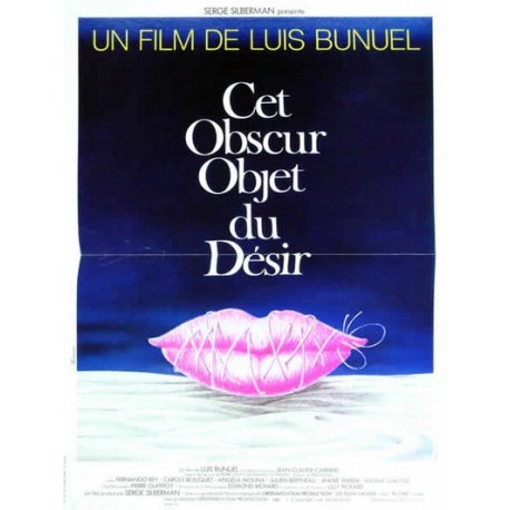 Cet obscur objet du desir 40x60