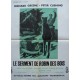 Serment de robin des bois (le) 50x65