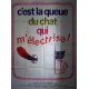Cest la queue du chat qui melectrise 120x160