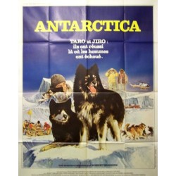 Antartica 120x160