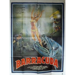 Barracuda 120x160