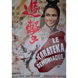 Karateka demoniaque (le) 77x115