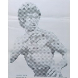 Bruce Lee.48x60