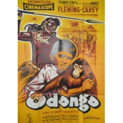 Odongo 120x160